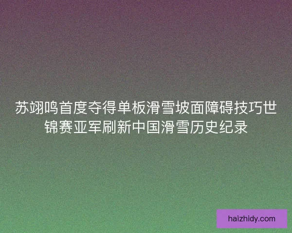 苏翊鸣首度夺得单板滑雪坡面障碍技巧世锦赛亚军刷新中国滑雪历史纪录